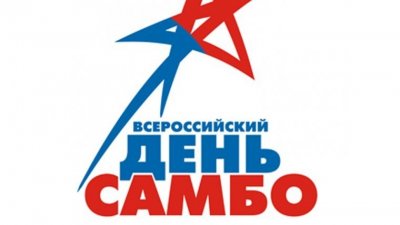Примерный Сценарный план Всероссийского дня самбо